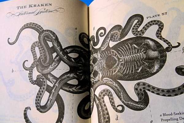 Kraken 2krn es