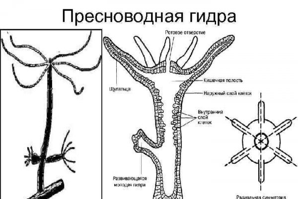 Kraken вход зеркало